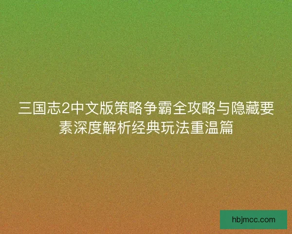 三国志2中文版策略争霸全攻略与隐藏要素深度解析经典玩法重温篇